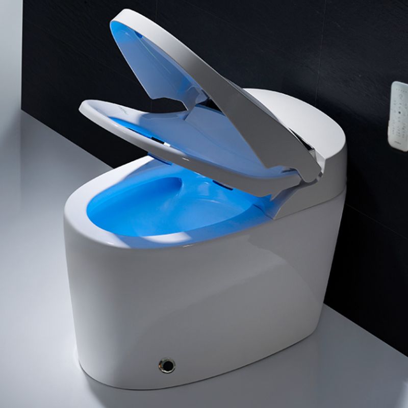 Inodoro contemporáneo con sifón y chorro de agua, inodoro de una pieza para  baño - Clearhalo