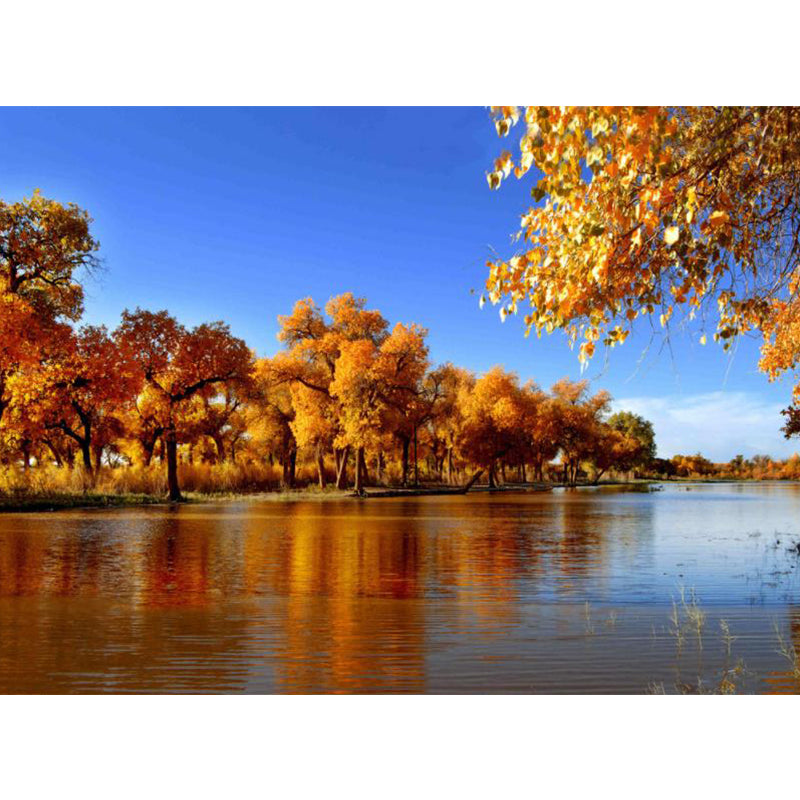 Autumn Trees and River Mural Wallpaper for Bedroom Decor, Blue and Brown, Personalized Size Available Clearhalo 'Wall Decor' 'Wall Mural' 1114152