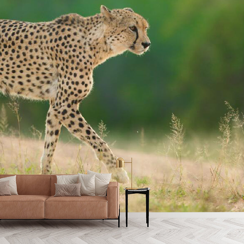 Big Photography Modern Wall Mural for Accent Wall with Leopard Design in Green and Yellow Clearhalo 'Wall Decor' 'Wall Mural' 1114206