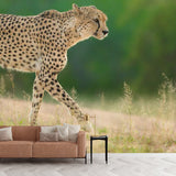 Big Photography Modern Wall Mural for Accent Wall with Leopard Design in Green and Yellow Clearhalo 'Wall Decor' 'Wall Mural' 1114206