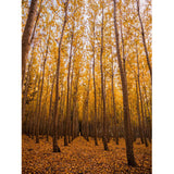 Big Autumn Jungle Wall Art in Yellow Non-Woven Fabric Wall Mural Decal for Bedroom, Custom Size Available Clearhalo 'Wall Decor' 'Wall Mural' 1114262