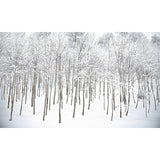 White Winter Rime Forest Mural Moisture-Resistant Wall Decoration for Teens Bedroom Clearhalo 'Wall Decor' 'Wall Mural' 1173078