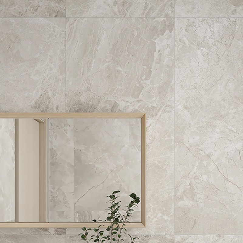 Marble Singular Tile Mirrored Rectangular Floor and Wall Tile Clearhalo 'Floor Tiles & Wall Tiles' 'floor_tiles_wall_tiles' 'Flooring 'Home Improvement' 'home_improvement' 'home_improvement_floor_tiles_wall_tiles' Walls and Ceiling' 1200x1200_011967e8-1bc8-47cb-aa27-9972dd3ef0b2