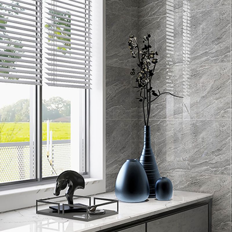 Marble Appearance Singular Tile Mirrored Rectangular Wall Tile Clearhalo 'Floor Tiles & Wall Tiles' 'floor_tiles_wall_tiles' 'Flooring 'Home Improvement' 'home_improvement' 'home_improvement_floor_tiles_wall_tiles' Walls and Ceiling' 1200x1200_02e548d2-472d-4d38-a42b-3988f8d3a8b5