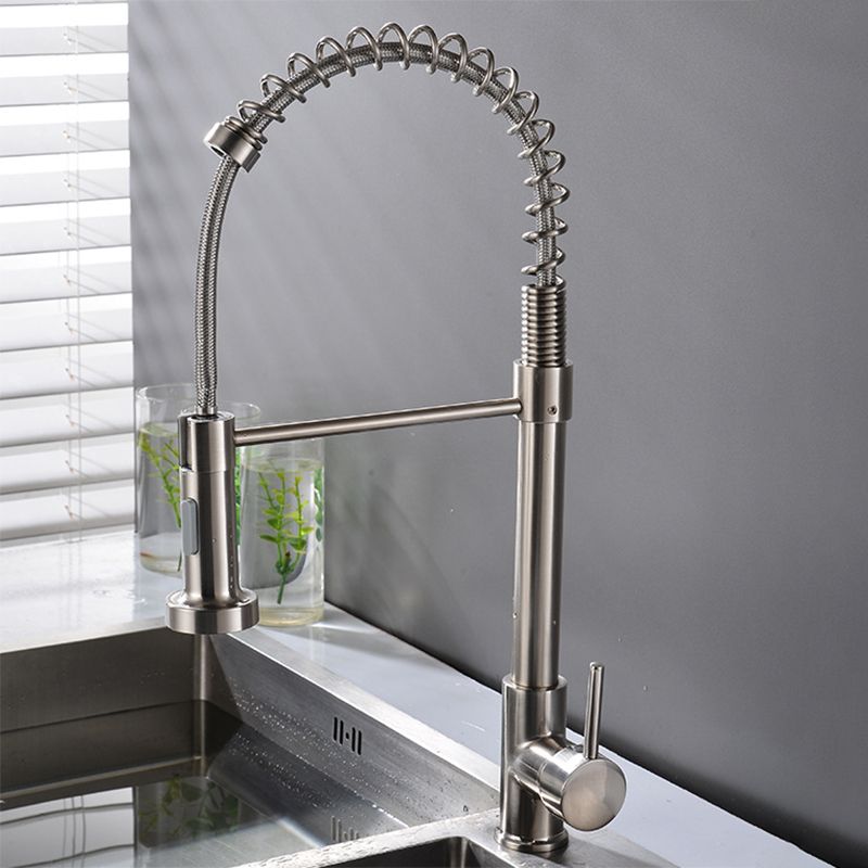Modern Spring Spout Faucets 1-Handle with Water Dispenser Standard Kitchen Faucets Clearhalo 'Home Improvement' 'home_improvement' 'home_improvement_kitchen_faucets' 'Kitchen Faucets' 'Kitchen Remodel & Kitchen Fixtures' 'Kitchen Sinks & Faucet Components' 'kitchen_faucets' 1200x1200_05762b38-f316-4eb0-9363-80968751f8c8