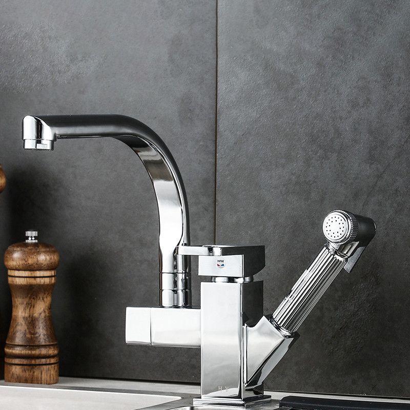 Traditional 1-Handle Faucet with Water Dispenser Standard Kitchen Faucet Clearhalo 'Home Improvement' 'home_improvement' 'home_improvement_kitchen_faucets' 'Kitchen Faucets' 'Kitchen Remodel & Kitchen Fixtures' 'Kitchen Sinks & Faucet Components' 'kitchen_faucets' 1200x1200_06f28211-1601-4cdf-a35b-a408049c041d