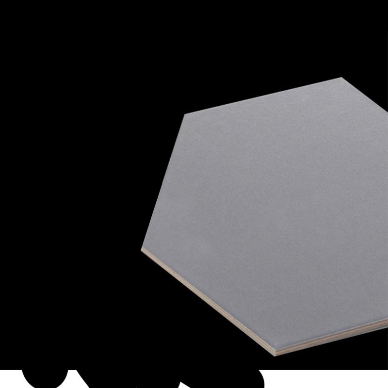 Modern Style Waterproof Wall Tile Straight Edge Hexagon Wall Tile Clearhalo 'Floor Tiles & Wall Tiles' 'floor_tiles_wall_tiles' 'Flooring 'Home Improvement' 'home_improvement' 'home_improvement_floor_tiles_wall_tiles' Walls and Ceiling' 1200x1200_09e5fab4-e9d5-4548-950e-0cdd534c2a62