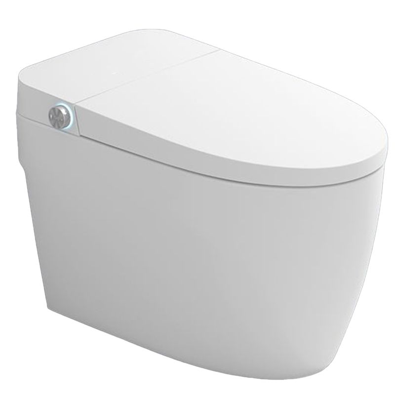 Elongated Vitreous China Bidet All-In-One Smart Toilet Seat Bidet Clearhalo 'Bathroom Remodel & Bathroom Fixtures' 'Bidets' 'Home Improvement' 'home_improvement' 'home_improvement_bidets' 'Toilets & Bidets' 1200x1200_0a3e19f1-a2be-4269-95fb-f24bc7e60a8d