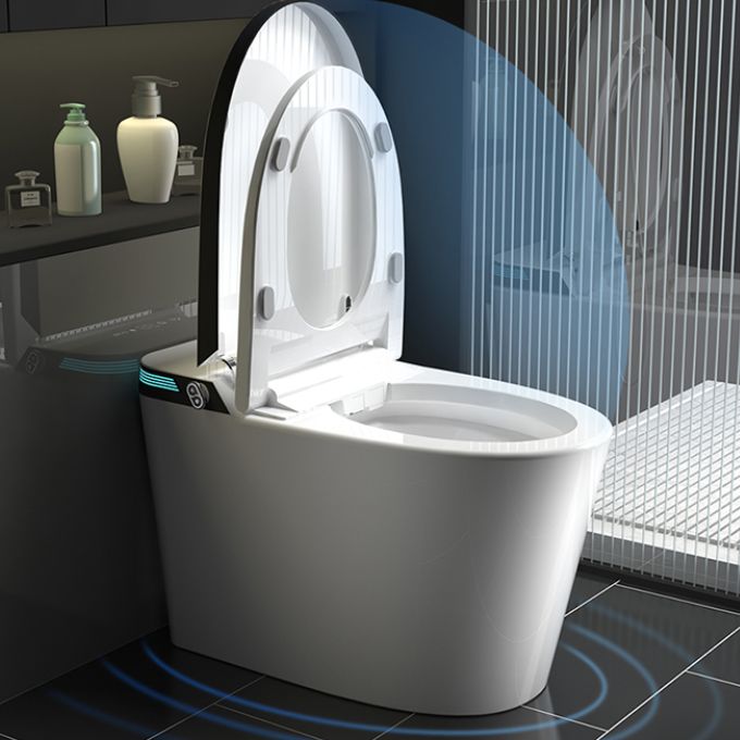 Elongated Floor Standing Bidet with Warm Air Dryer and Bidet Sprayer Clearhalo 'Bathroom Remodel & Bathroom Fixtures' 'Bidets' 'Home Improvement' 'home_improvement' 'home_improvement_bidets' 'Toilets & Bidets' 1200x1200_0c8cbc08-30ef-4a8b-b53b-f59aecb078fd