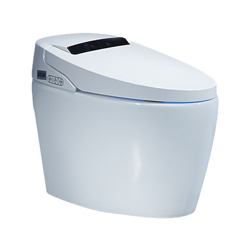 Floor Mount Bidet Elongated in White Smart Bidet with Heated Seat Clearhalo 'Bathroom Remodel & Bathroom Fixtures' 'Bidets' 'Home Improvement' 'home_improvement' 'home_improvement_bidets' 'Toilets & Bidets' 1200x1200_0cbb289b-fa99-442a-b984-0fc6cf7bcccc