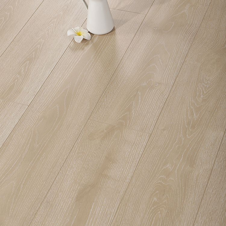 Contemporary Laminate Flooring Light Color Wooden Laminate Flooring Clearhalo 'Flooring 'Home Improvement' 'home_improvement' 'home_improvement_laminate_flooring' 'Laminate Flooring' 'laminate_flooring' Walls and Ceiling' 1200x1200_0d5ca752-1d4a-4936-8d3f-8a4bb6127b2e