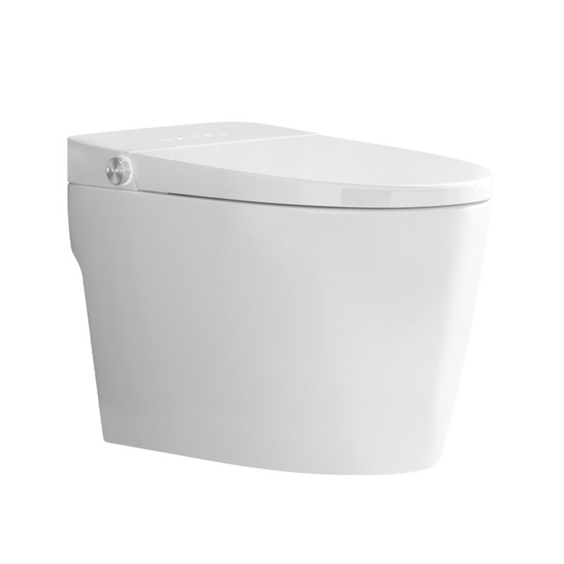 Elongated 15" W Floor Mounted Smart Bidet with Unlimited Warm Water Clearhalo 'Bathroom Remodel & Bathroom Fixtures' 'Bidets' 'Home Improvement' 'home_improvement' 'home_improvement_bidets' 'Toilets & Bidets' 1200x1200_0ebe4369-fb2a-42a4-a689-0572eb003724