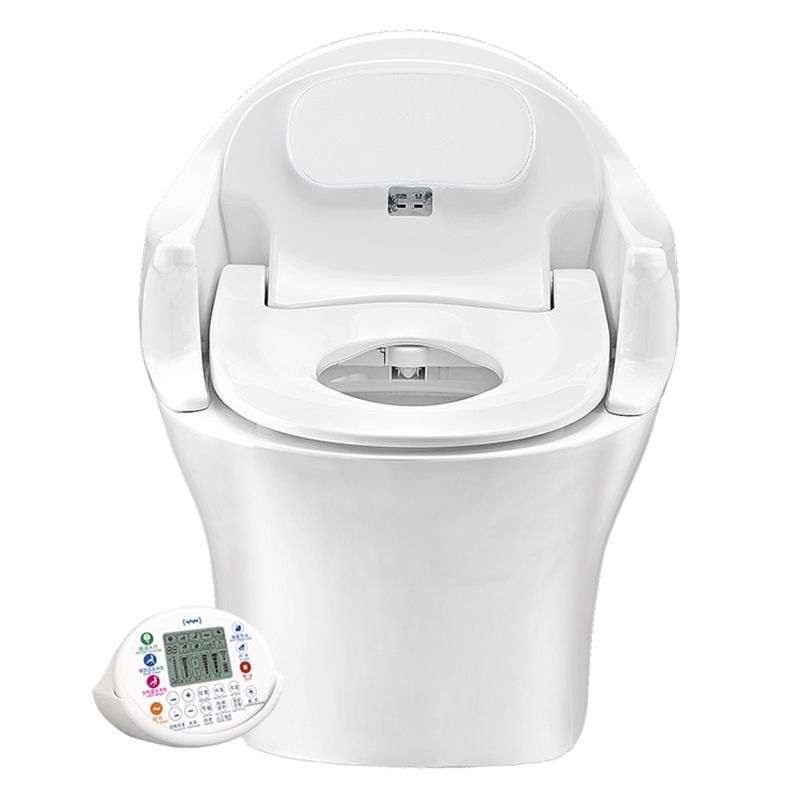 Smart All-In-One Toilet Seat Bidet 23.6" W Elongated Bidet Seat in Ceramic Clearhalo 'Bathroom Remodel & Bathroom Fixtures' 'Bidets' 'Home Improvement' 'home_improvement' 'home_improvement_bidets' 'Toilets & Bidets' 1200x1200_0f0381a9-857e-46e5-892a-13c91bba62e0