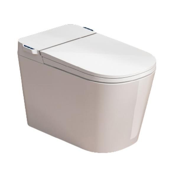 Elongated Floor Mount Bidet in White All-In-One Smart Bidet with Heated Seat Clearhalo 'Bathroom Remodel & Bathroom Fixtures' 'Bidets' 'Home Improvement' 'home_improvement' 'home_improvement_bidets' 'Toilets & Bidets' 1200x1200_0f98ea34-9d13-47aa-a144-7b22426cf4da