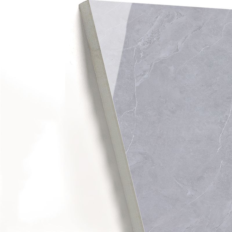 Marble Appearance Singular Tile Straight Edge Rectangular Floor Tile Clearhalo 'Floor Tiles & Wall Tiles' 'floor_tiles_wall_tiles' 'Flooring 'Home Improvement' 'home_improvement' 'home_improvement_floor_tiles_wall_tiles' Walls and Ceiling' 1200x1200_1182f964-20e9-4966-9a34-db607838eb20