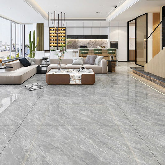 Square Matte Wall Tile Marble Gray Singular Tile for Floor Case Clearhalo 'Floor Tiles & Wall Tiles' 'floor_tiles_wall_tiles' 'Flooring 'Home Improvement' 'home_improvement' 'home_improvement_floor_tiles_wall_tiles' Walls and Ceiling' 1200x1200_119f22f3-3abc-4a01-9eed-4f8f20b359fa