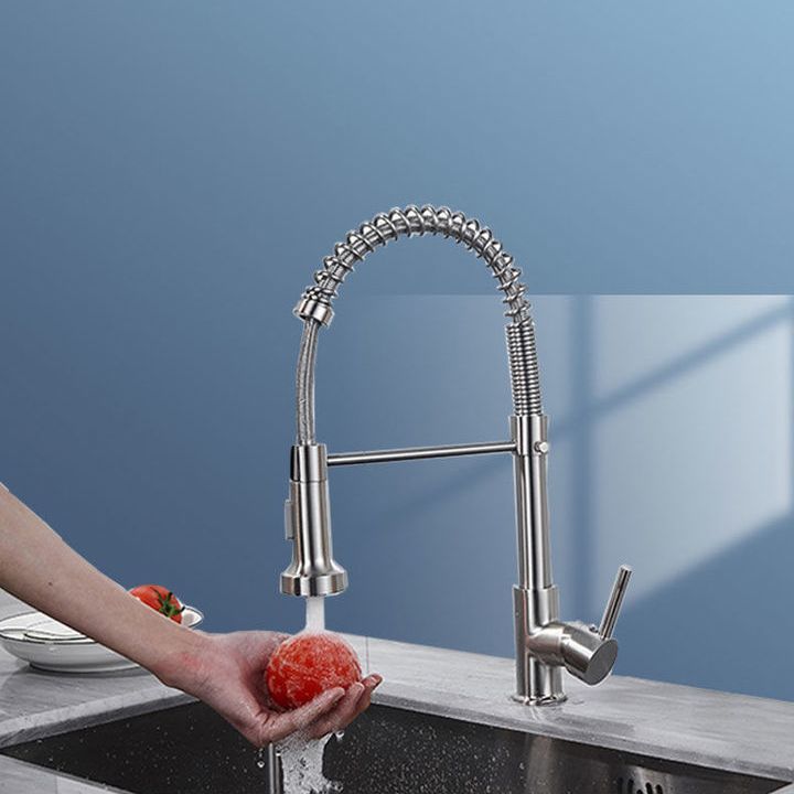 1-Handle Faucets with Water Dispenser Spring Spout Standard Kitchen Faucets Clearhalo 'Home Improvement' 'home_improvement' 'home_improvement_kitchen_faucets' 'Kitchen Faucets' 'Kitchen Remodel & Kitchen Fixtures' 'Kitchen Sinks & Faucet Components' 'kitchen_faucets' 1200x1200_145fe255-241d-484e-b8ed-3ef4a7fcf4ea