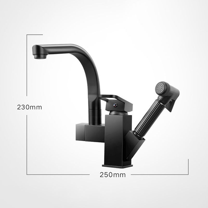 Traditional 1-Handle Faucet with Water Dispenser Standard Kitchen Faucet Clearhalo 'Home Improvement' 'home_improvement' 'home_improvement_kitchen_faucets' 'Kitchen Faucets' 'Kitchen Remodel & Kitchen Fixtures' 'Kitchen Sinks & Faucet Components' 'kitchen_faucets' 1200x1200_1724c1c7-9f9f-4b83-9cef-d6b7ee9d72fc