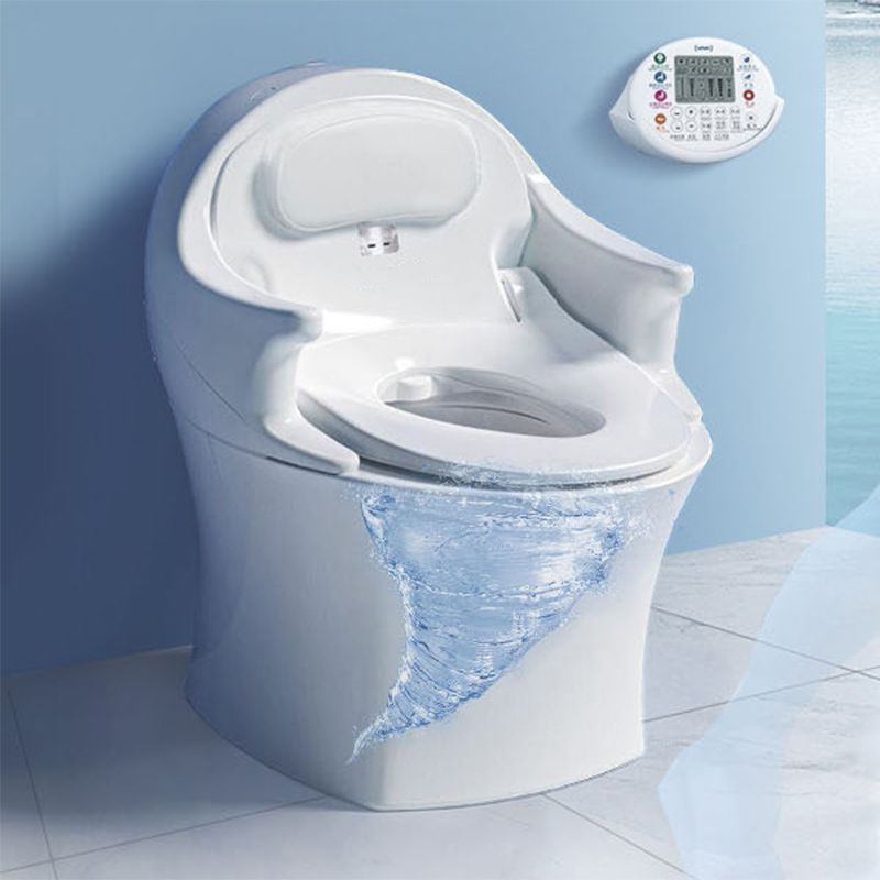 Smart All-In-One Toilet Seat Bidet 23.6" W Elongated Bidet Seat in Ceramic Clearhalo 'Bathroom Remodel & Bathroom Fixtures' 'Bidets' 'Home Improvement' 'home_improvement' 'home_improvement_bidets' 'Toilets & Bidets' 1200x1200_17ea964b-13a3-47f8-85ff-2d42da2c4943