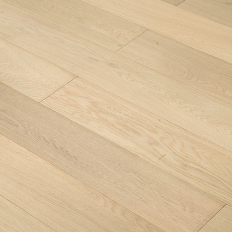 Light Color Wooden Laminate Flooring Modern Style Laminate Flooring Clearhalo 'Flooring 'Home Improvement' 'home_improvement' 'home_improvement_laminate_flooring' 'Laminate Flooring' 'laminate_flooring' Walls and Ceiling' 1200x1200_19c5c9e5-426c-49ac-a097-e3d21f2c0c76