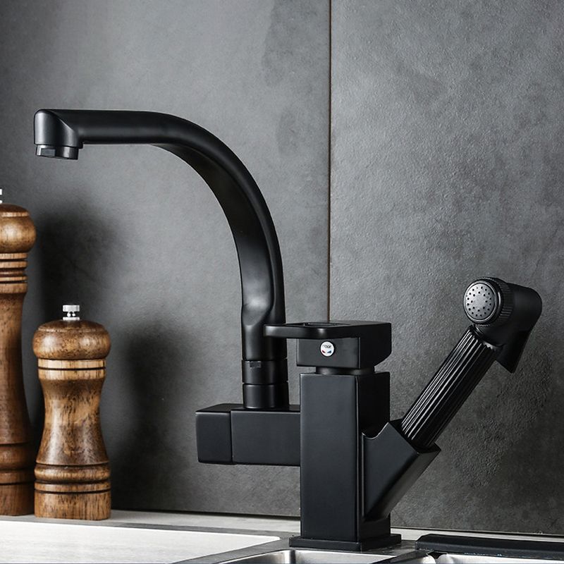 Traditional 1-Handle Faucet with Water Dispenser Standard Kitchen Faucet Clearhalo 'Home Improvement' 'home_improvement' 'home_improvement_kitchen_faucets' 'Kitchen Faucets' 'Kitchen Remodel & Kitchen Fixtures' 'Kitchen Sinks & Faucet Components' 'kitchen_faucets' 1200x1200_1da3f0ad-de18-4091-b066-fac415b37daa