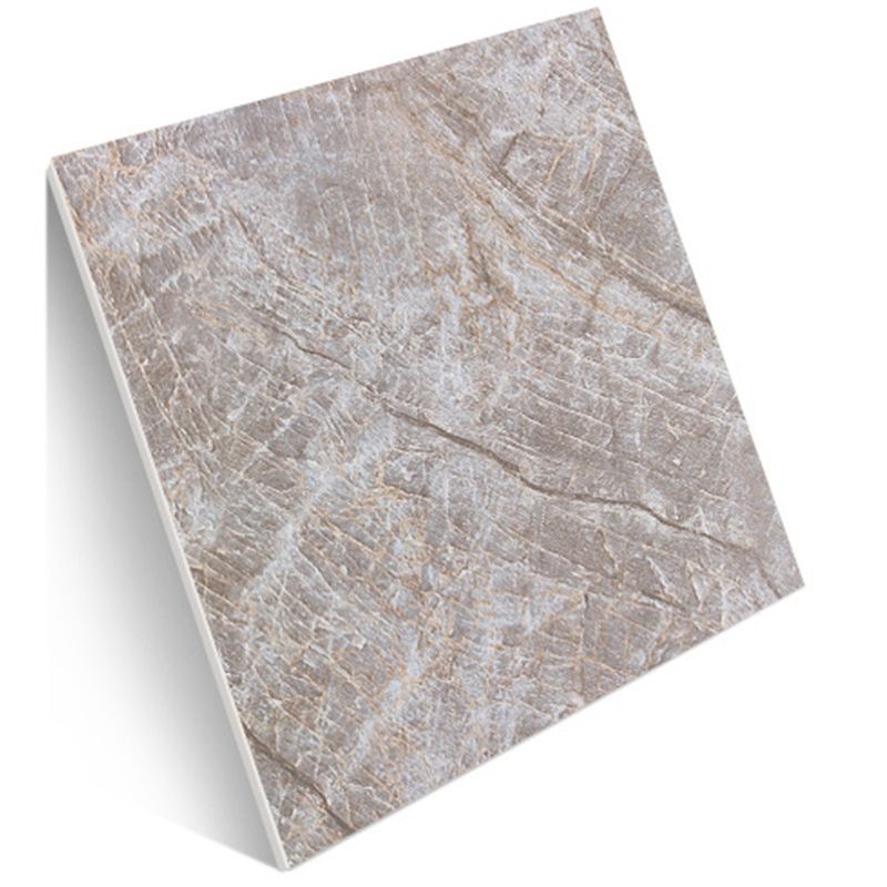 Contemporary Style Floor Tile Straight Edge Square Waterproof Floor Tile Clearhalo 'Floor Tiles & Wall Tiles' 'floor_tiles_wall_tiles' 'Flooring 'Home Improvement' 'home_improvement' 'home_improvement_floor_tiles_wall_tiles' Walls and Ceiling' 1200x1200_1ebe9144-6ff8-42cb-ba52-7df514c17e44