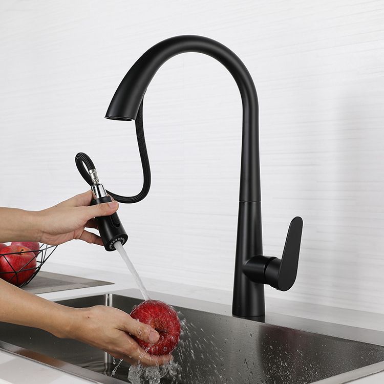 Modern Retractable Kitchen Faucet Stainless Steel Single Handle High Arc Kitchen Faucet Clearhalo 'Home Improvement' 'home_improvement' 'home_improvement_kitchen_faucets' 'Kitchen Faucets' 'Kitchen Remodel & Kitchen Fixtures' 'Kitchen Sinks & Faucet Components' 'kitchen_faucets' 1200x1200_21ff8bb3-612d-4c53-99b9-315ba618c69d