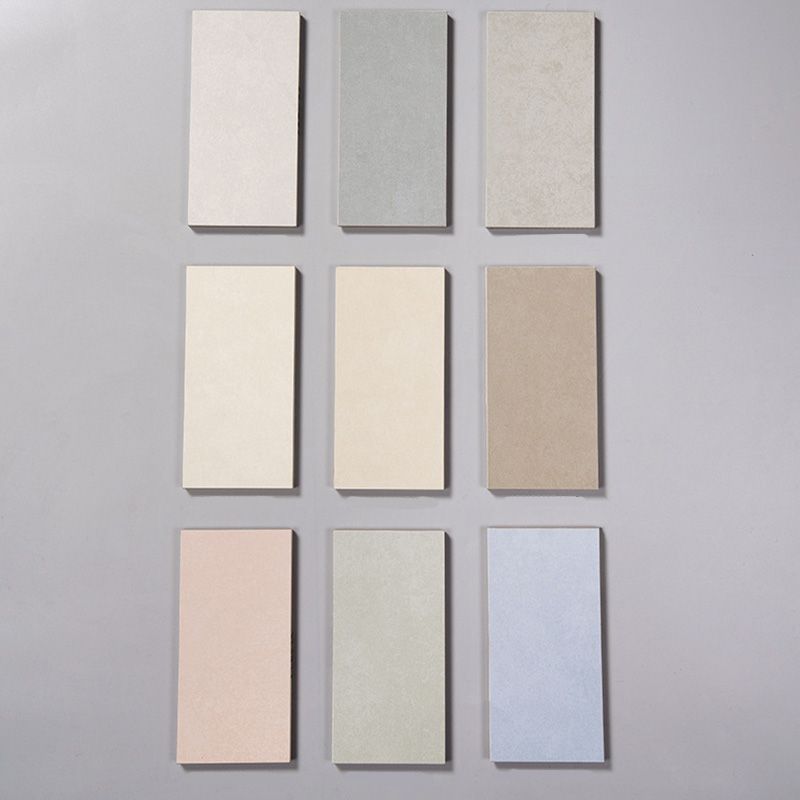 Retangular Ceramic 23.62"x47.24" Tile No Pattern Singular Tile for Floor (2-Pack) Clearhalo 'Floor Tiles & Wall Tiles' 'floor_tiles_wall_tiles' 'Flooring 'Home Improvement' 'home_improvement' 'home_improvement_floor_tiles_wall_tiles' Walls and Ceiling' 1200x1200_25489835-7b83-48df-a8e8-c62666e2e665