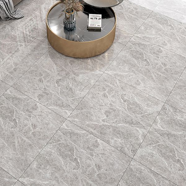Square Matte Wall Tile Marble Gray Singular Tile for Floor Case Clearhalo 'Floor Tiles & Wall Tiles' 'floor_tiles_wall_tiles' 'Flooring 'Home Improvement' 'home_improvement' 'home_improvement_floor_tiles_wall_tiles' Walls and Ceiling' 1200x1200_261bc5ab-7044-4dd8-b9c8-1fd435420f1b