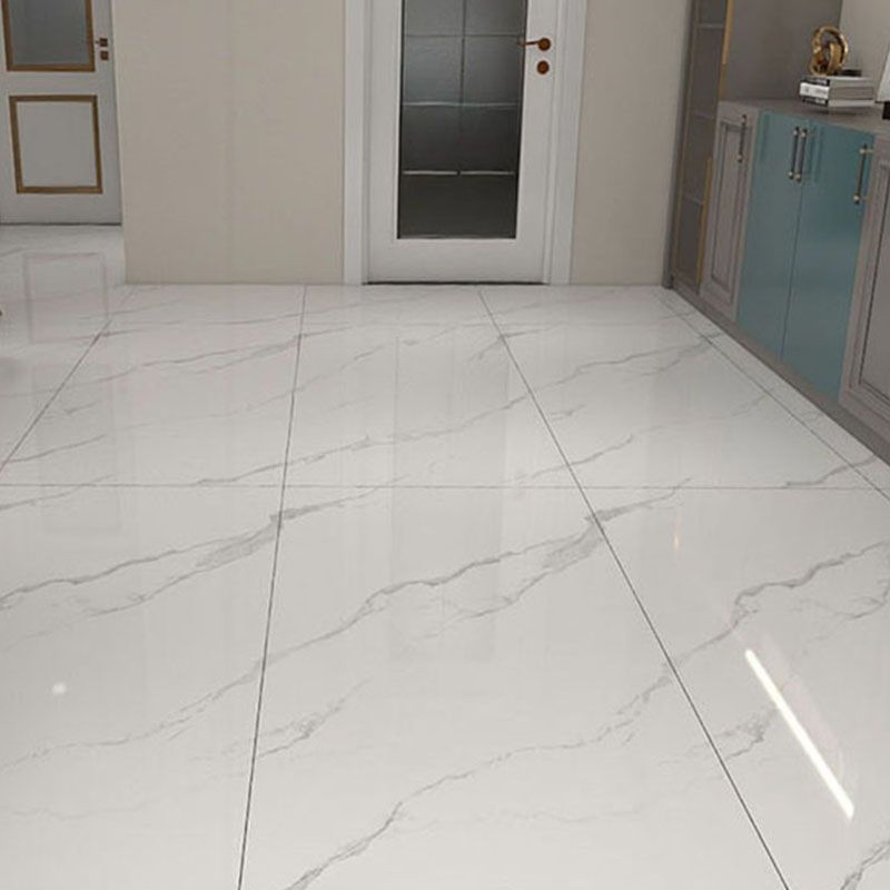 Marble Appearance Singular Tile Polished Rectangular Floor Tile Clearhalo 'Floor Tiles & Wall Tiles' 'floor_tiles_wall_tiles' 'Flooring 'Home Improvement' 'home_improvement' 'home_improvement_floor_tiles_wall_tiles' Walls and Ceiling' 1200x1200_2a1c3710-4706-461e-beb6-2091c09476e5