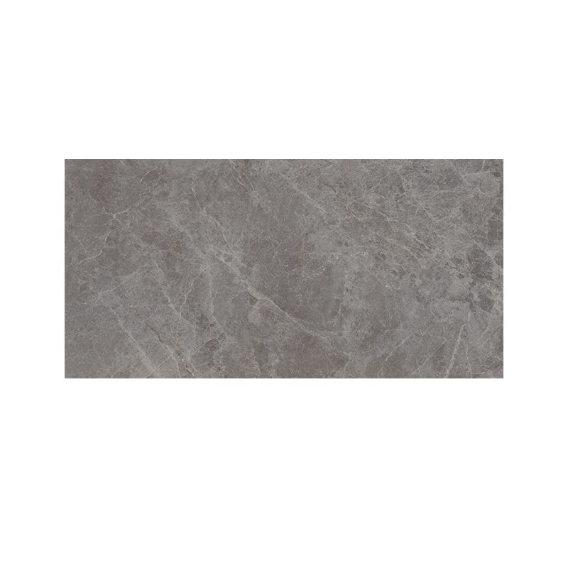 Rectangle Matte Tile Gray Marble Floor and Wall for Drawing Room Clearhalo 'Floor Tiles & Wall Tiles' 'floor_tiles_wall_tiles' 'Flooring 'Home Improvement' 'home_improvement' 'home_improvement_floor_tiles_wall_tiles' Walls and Ceiling' 1200x1200_2dee02ac-db49-449e-a948-89237305747e