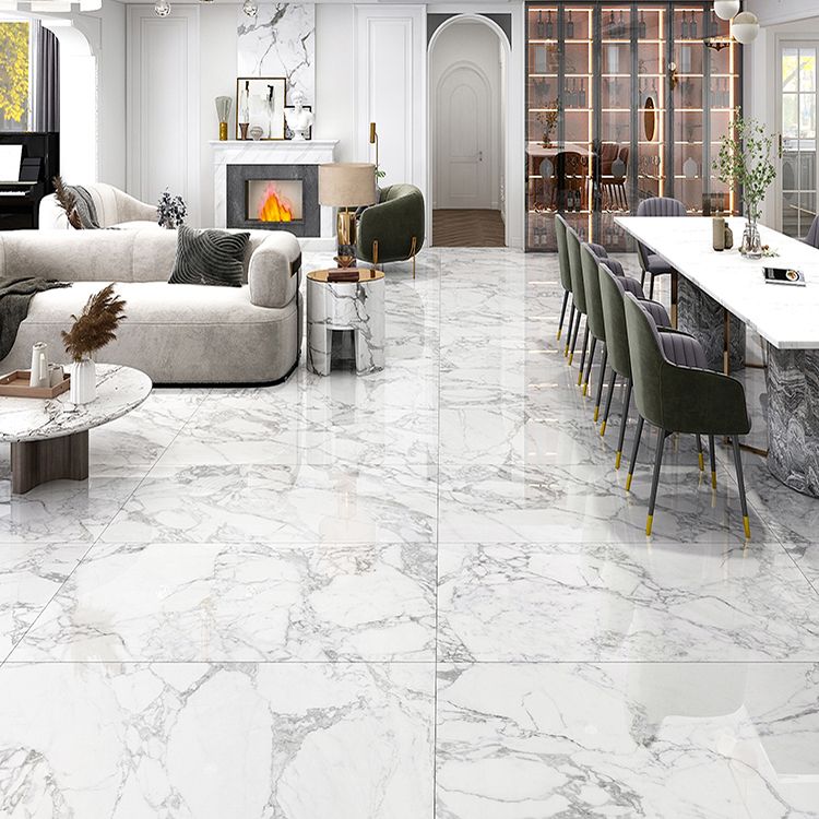 Ceramic Floor and Wall Tile Indoor Rectangular Shape Floor and Wall Tile Clearhalo 'Floor Tiles & Wall Tiles' 'floor_tiles_wall_tiles' 'Flooring 'Home Improvement' 'home_improvement' 'home_improvement_floor_tiles_wall_tiles' Walls and Ceiling' 1200x1200_2e2631f2-7e6b-4910-95fe-696b2a6837b0