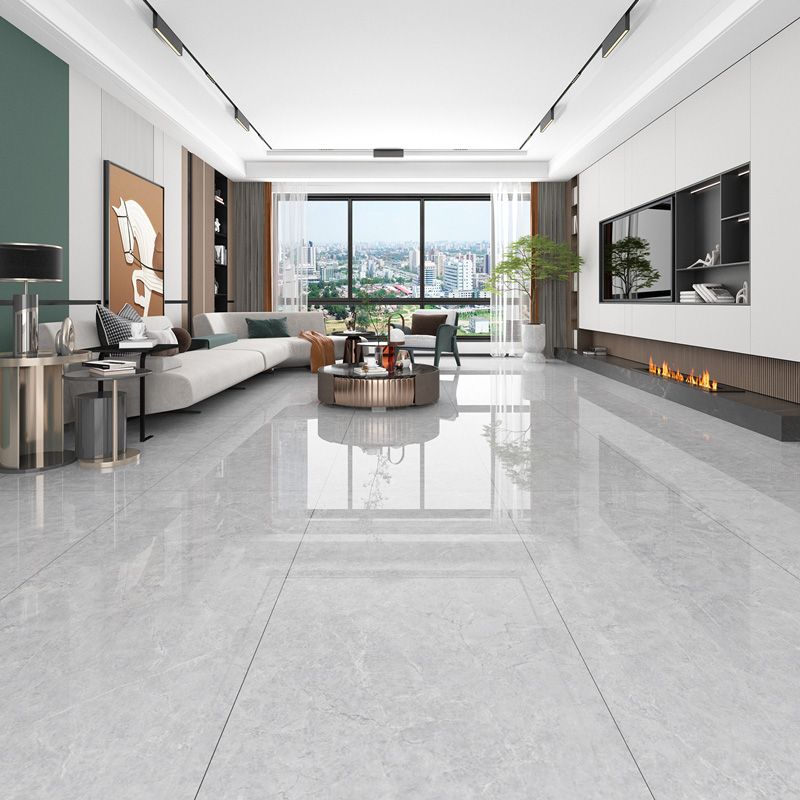 Rectangle Matte Singular Tile Marble Light Gray Tile for Home Decor Clearhalo 'Floor Tiles & Wall Tiles' 'floor_tiles_wall_tiles' 'Flooring 'Home Improvement' 'home_improvement' 'home_improvement_floor_tiles_wall_tiles' Walls and Ceiling' 1200x1200_2fbb3f70-8d44-41b9-8ea7-97a5aca1abd8