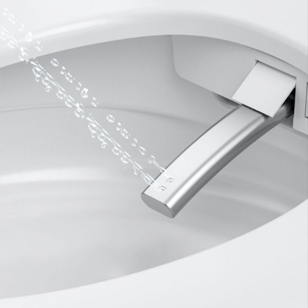 Elongated All-in-One Bidet Toilet Seat with Unlimited Warm Water Clearhalo 'Bathroom Remodel & Bathroom Fixtures' 'Bidets' 'Home Improvement' 'home_improvement' 'home_improvement_bidets' 'Toilets & Bidets' 1200x1200_36f90fa9-cde7-4476-b245-c579045deace