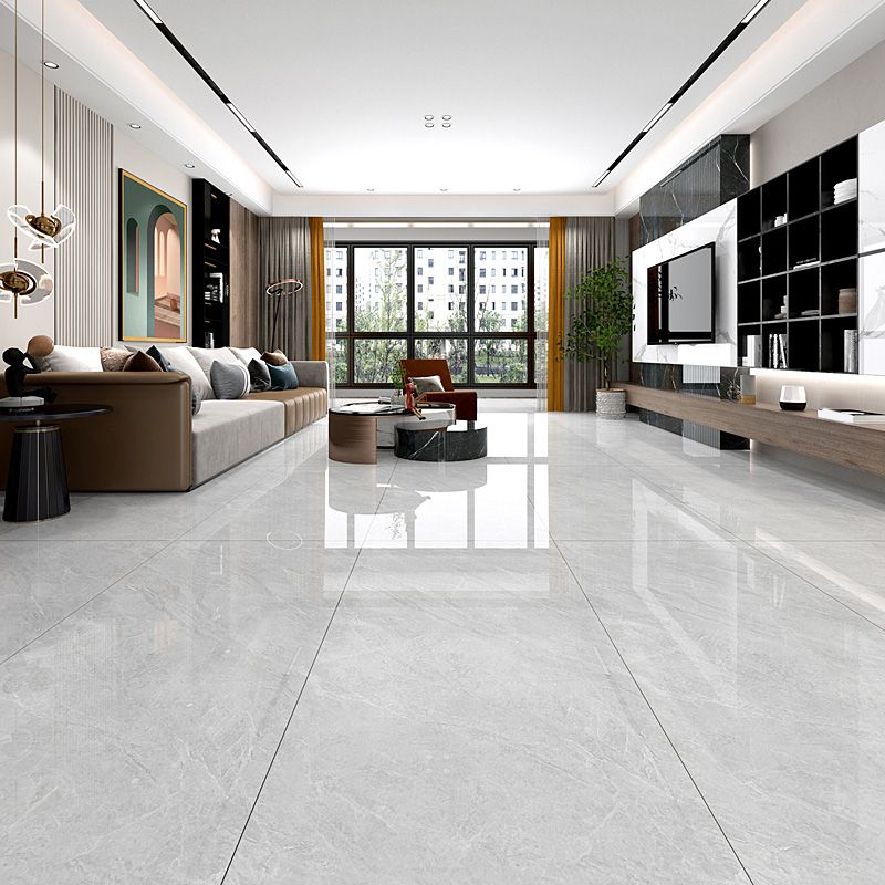 Rectangle Matte Singular Tile Marble Light Gray Tile for Home Decor Clearhalo 'Floor Tiles & Wall Tiles' 'floor_tiles_wall_tiles' 'Flooring 'Home Improvement' 'home_improvement' 'home_improvement_floor_tiles_wall_tiles' Walls and Ceiling' 1200x1200_376ee135-acb9-4e5b-bf30-868f512b2794