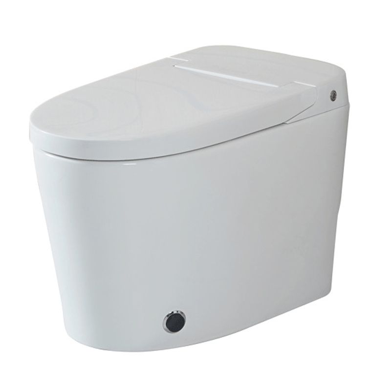 Siphon Jet Elongated Toilet Bowl Modern Flush Toilet With Seat for Bathroom Clearhalo 'Bathroom Remodel & Bathroom Fixtures' 'Home Improvement' 'home_improvement' 'home_improvement_toilets' 'Toilets & Bidets' 'Toilets' 1200x1200_37be2574-86ba-45eb-9e88-dce3e30fbc86