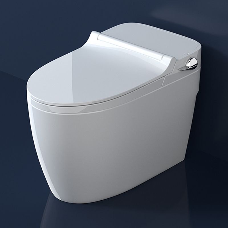 Ceramic Elongated Floor Mount Bidet without Water Pressure Control Clearhalo 'Bathroom Remodel & Bathroom Fixtures' 'Bidets' 'Home Improvement' 'home_improvement' 'home_improvement_bidets' 'Toilets & Bidets' 1200x1200_38c68cbf-1abd-459d-a6c7-a829c15f38dc