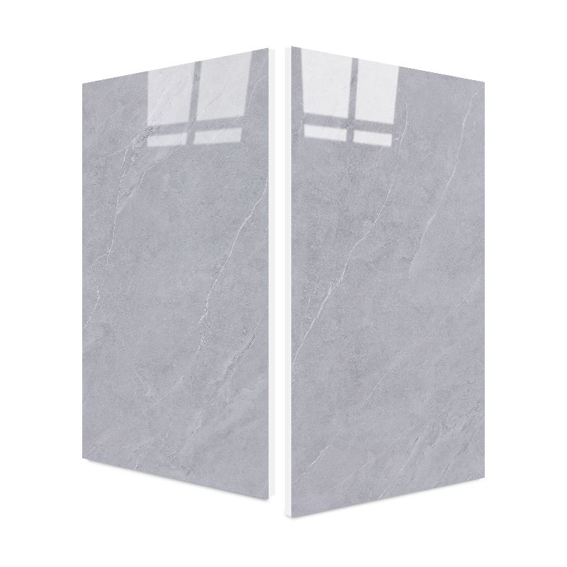 Marble Appearance Singular Tile Straight Edge Rectangular Floor Tile Clearhalo 'Floor Tiles & Wall Tiles' 'floor_tiles_wall_tiles' 'Flooring 'Home Improvement' 'home_improvement' 'home_improvement_floor_tiles_wall_tiles' Walls and Ceiling' 1200x1200_38f92fd1-5124-4d22-807e-c1f3a3f2675b