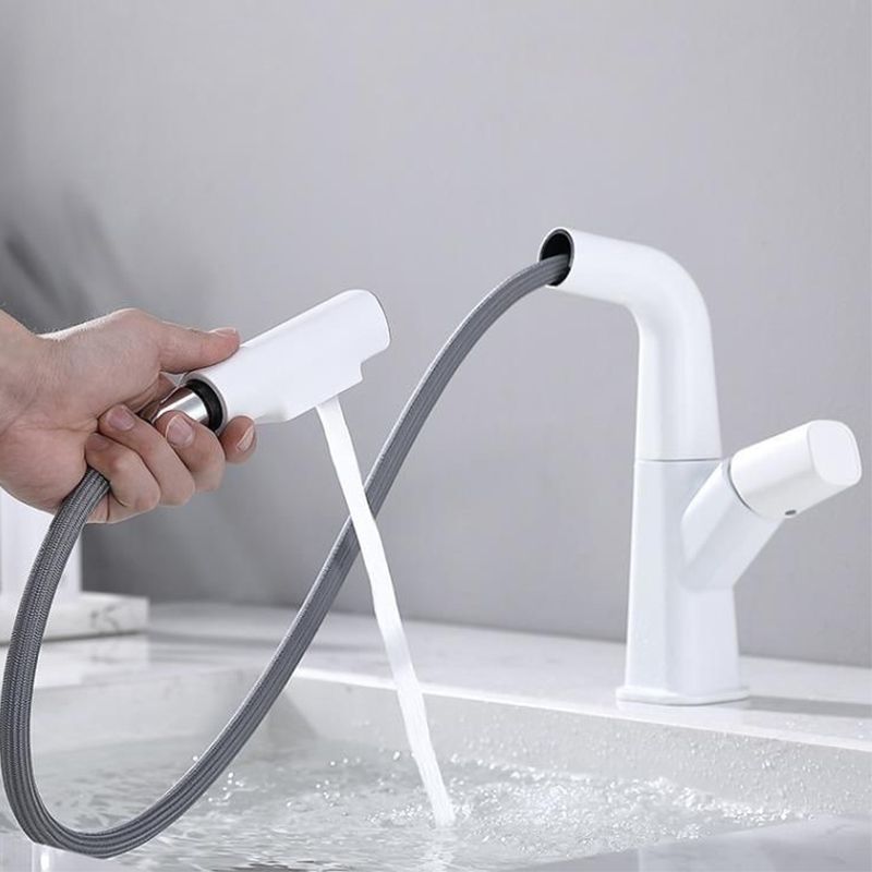 Vessel Sink Faucet Pull-out Bathroom Faucet with Single Knob Handle Clearhalo 'bathroom_sink_faucets' 'Conjunta de Baño y Conjunta de Grifo' 'Coronamiento de Baño y Dispositivo de Baño' 'Grifo del lavabo del baño' 'Hogar' 'home_improvement' 'home_improvement_bathroom_sink_faucets' 'Mejoras para el hogar' 1200x1200_3a8ce9b4-53ae-4bb4-8583-0120aa2d8b40