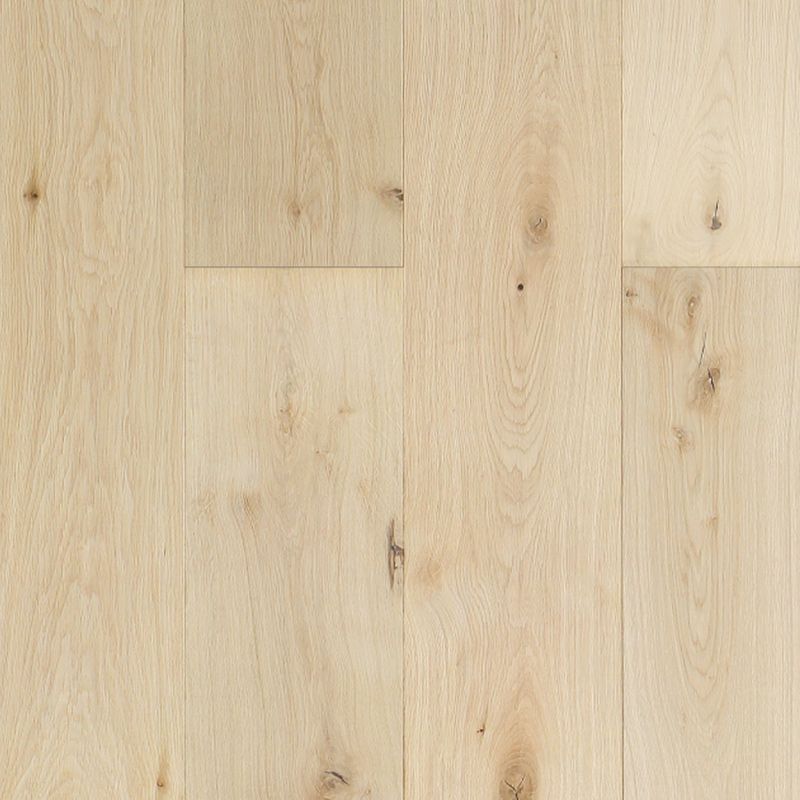 Contemporary Light Oak Wood Flooring Waterproof Solid Wood Flooring Clearhalo 'Flooring 'Hardwood Flooring' 'hardwood_flooring' 'Home Improvement' 'home_improvement' 'home_improvement_hardwood_flooring' Walls and Ceiling' 1200x1200_3b0a694a-ec4b-484a-873f-dd6dcebc136f