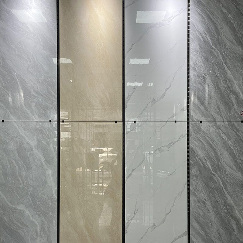 Marble Appearance Singular Tile Polished Rectangular Floor Tile Clearhalo 'Floor Tiles & Wall Tiles' 'floor_tiles_wall_tiles' 'Flooring 'Home Improvement' 'home_improvement' 'home_improvement_floor_tiles_wall_tiles' Walls and Ceiling' 1200x1200_3c8e08ea-8fef-470c-9636-e270be98c9d8