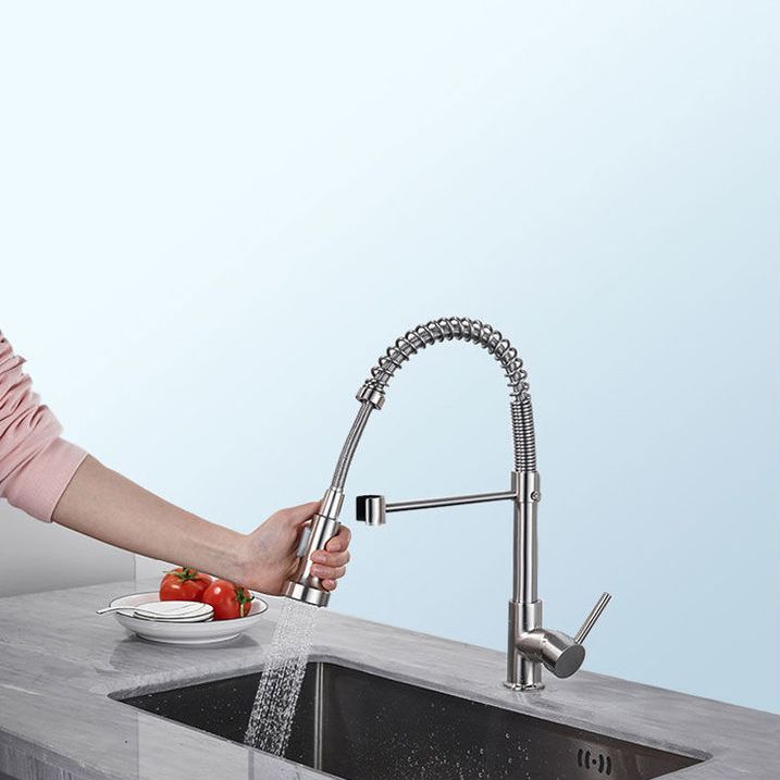 1-Handle Faucets with Water Dispenser Spring Spout Standard Kitchen Faucets Clearhalo 'Home Improvement' 'home_improvement' 'home_improvement_kitchen_faucets' 'Kitchen Faucets' 'Kitchen Remodel & Kitchen Fixtures' 'Kitchen Sinks & Faucet Components' 'kitchen_faucets' 1200x1200_3cf61e49-8aa1-483f-abcc-ce59210b5fe1