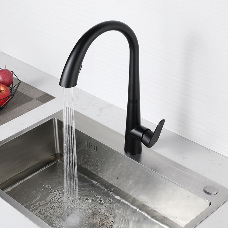 Modern Retractable Kitchen Faucet Stainless Steel Single Handle High Arc Kitchen Faucet Clearhalo 'Home Improvement' 'home_improvement' 'home_improvement_kitchen_faucets' 'Kitchen Faucets' 'Kitchen Remodel & Kitchen Fixtures' 'Kitchen Sinks & Faucet Components' 'kitchen_faucets' 1200x1200_414a3e43-f44c-4002-835c-347cb03234ec