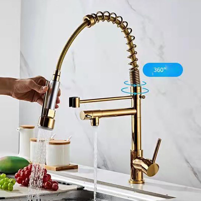 Modern Spring Spout Faucets Handle with Water Dispenser Standard Kitchen Faucets Clearhalo 'Home Improvement' 'home_improvement' 'home_improvement_kitchen_faucets' 'Kitchen Faucets' 'Kitchen Remodel & Kitchen Fixtures' 'Kitchen Sinks & Faucet Components' 'kitchen_faucets' 1200x1200_4504d37d-3afd-47cb-9cf5-5db7cef15425