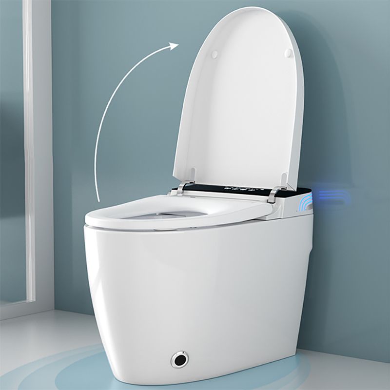 Elongated Floor Mount Bidet in White Egg Shaped Smart Bidet with Heated Seat Clearhalo 'Bathroom Remodel & Bathroom Fixtures' 'Bidets' 'Home Improvement' 'home_improvement' 'home_improvement_bidets' 'Toilets & Bidets' 1200x1200_48d8fa6a-a406-48fd-91d0-ae066007dff6