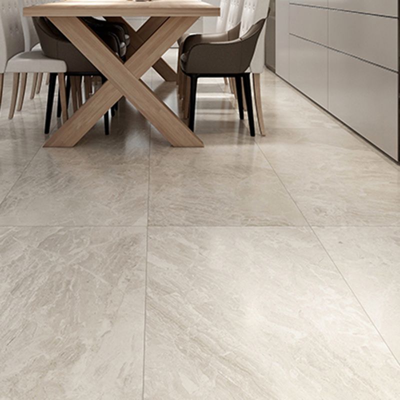 Marble Singular Tile Mirrored Rectangular Floor and Wall Tile Clearhalo 'Floor Tiles & Wall Tiles' 'floor_tiles_wall_tiles' 'Flooring 'Home Improvement' 'home_improvement' 'home_improvement_floor_tiles_wall_tiles' Walls and Ceiling' 1200x1200_4929d6a2-3304-454e-bea2-442517d04570