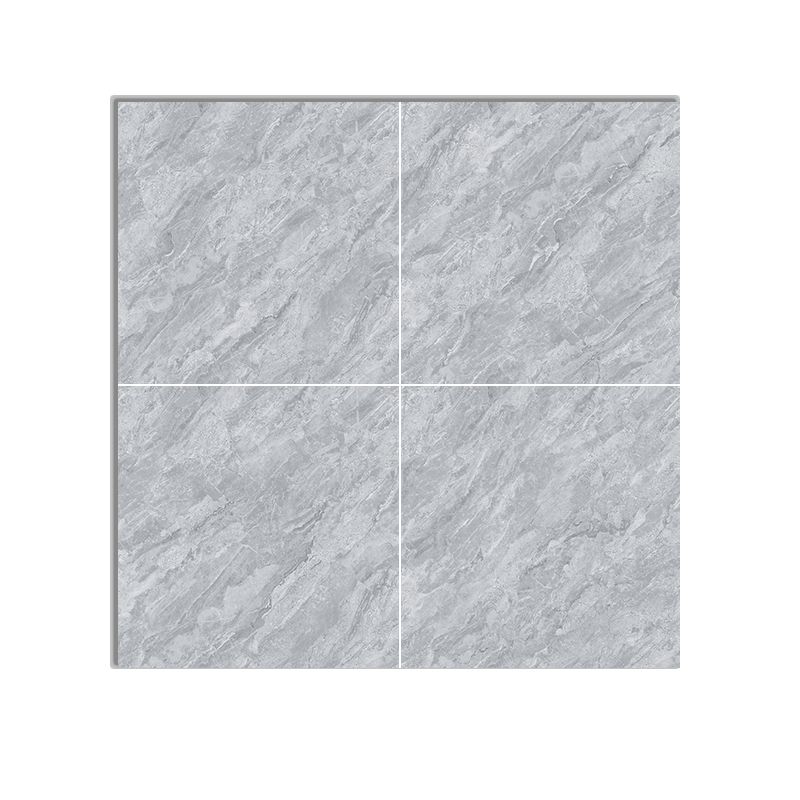 Square Matte Wall Tile Marble Gray Singular Tile for Floor Case Clearhalo 'Floor Tiles & Wall Tiles' 'floor_tiles_wall_tiles' 'Flooring 'Home Improvement' 'home_improvement' 'home_improvement_floor_tiles_wall_tiles' Walls and Ceiling' 1200x1200_4a4b0881-cd42-402a-8aa6-7150e3059ee5
