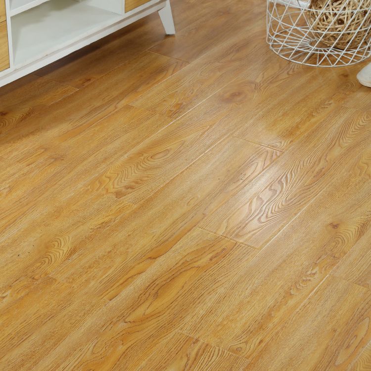 Classics Laminate Flooring in Natural, Click-Lock, Waterproof, 12mm Clearhalo 'Flooring 'Home Improvement' 'home_improvement' 'home_improvement_laminate_flooring' 'Laminate Flooring' 'laminate_flooring' Walls and Ceiling' 1200x1200_4b32da62-3f1e-48da-94ec-8d7e5df2f18f