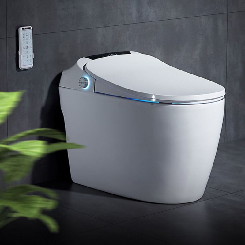 16.5" W Elongated All-in-One Toilet Seat Bidet with Wireless Remote Control Clearhalo 'Bathroom Remodel & Bathroom Fixtures' 'Bidets' 'Home Improvement' 'home_improvement' 'home_improvement_bidets' 'Toilets & Bidets' 1200x1200_4d9713b8-afb5-4224-8f34-5bcfe7547888