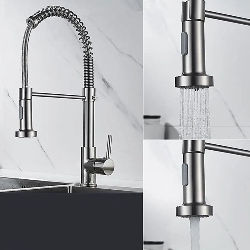 Modern Farmhouse Spring Spout Water Filler One Handle High Arch Kitchen Standard Faucet Clearhalo 'Home Improvement' 'home_improvement' 'home_improvement_kitchen_faucets' 'Kitchen Faucets' 'Kitchen Remodel & Kitchen Fixtures' 'Kitchen Sinks & Faucet Components' 'kitchen_faucets' 1200x1200_4dc31fec-8419-40cd-91c1-b962c5658ac6